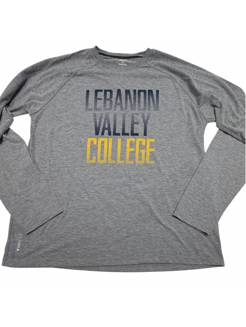 Lebanon Valley College By Champion Mens Large Gray Graphic Logo Long Sleeve Tee
